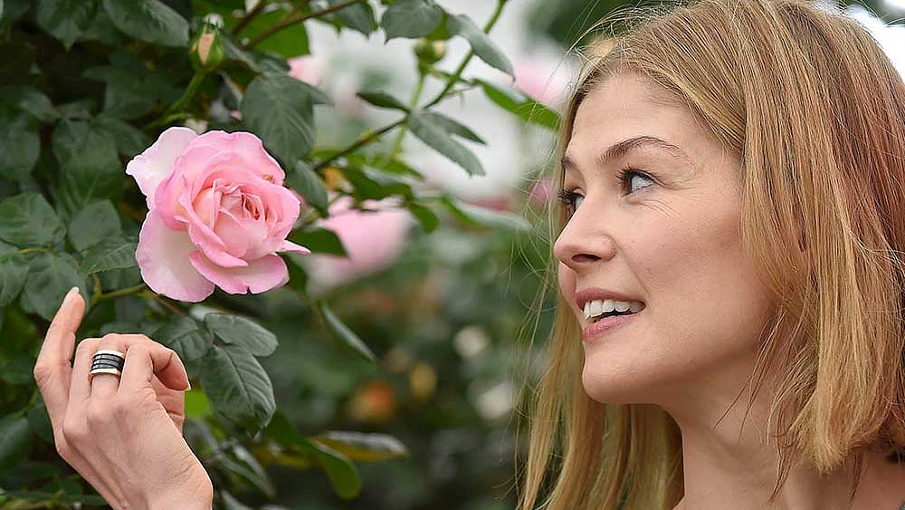 রয়টার্স