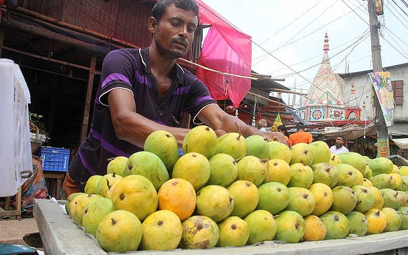 ফাইল ছবি