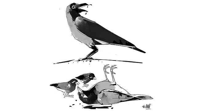 আঁকা: তুলি