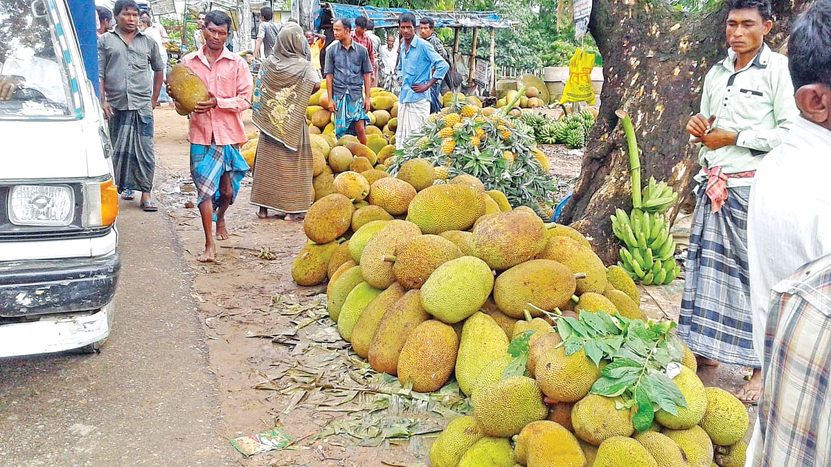 মৌলভীবাজার-কুলাউড়া সড়কের কুলাউড়া উপজেলার ব্রাহ্মণবাজার এলাকায় রাস্তার পাশে স্তূপ করে রাখা কাঁঠাল। গত সোমবার তোলা ছবি l প্রথম আলো
