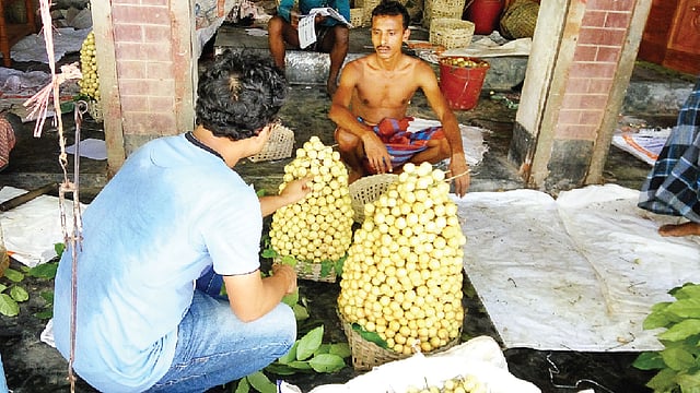 সৃষ্টিগড় বাজারে লটকনের আড়ত