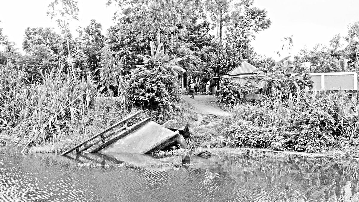 মানিকগঞ্জের সাটুরিয়া উপজেলার হরগজ ইউনিয়নের বালুর চর এলাকায় ভেঙে পড়া সেতু। বুধবার তোলা ছবি l প্রথম আলো