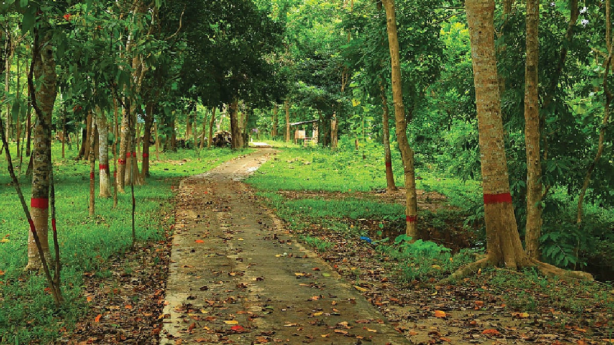 রাঙামাটির পথে পথে। ছবি: লেখক