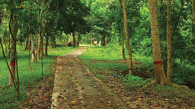 রাঙামাটির পথে পথে। ছবি: লেখক