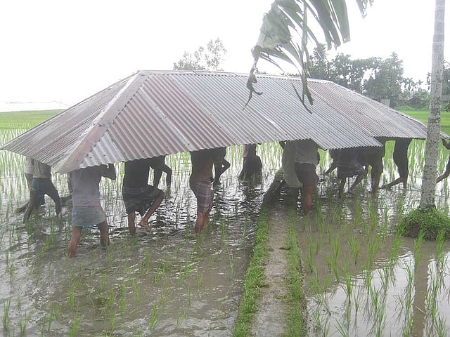 লালমনিরহাট সদর উপজেলার মোগলহাট ইউনিয়নের মাদ্রাসাশিক্ষক আজিজুর রহমানের মেয়ে মোহসেনার বিয়ের আয়োজন চলছিল বাড়িতে। কিন্তু ধরলা নদীর ভাঙনে সদ্যনির্মিত এই বাড়ি সরিয়ে নিতে বাধ্য হচ্ছেন তাঁরা। ছবিটি আজ শুক্রবার ইউনিয়নের কুড়ল গ্রাম থেকে তোলা। ছবি: প্রথম আলো