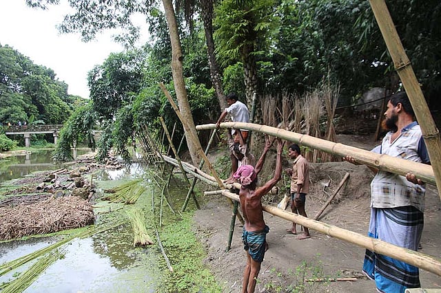 ফরিদপুর শহরের রঘুনন্দনপুর কলাবাগান এলাকায় এলাকাবাসী স্বেচ্ছাশ্রমে তৈরি করছেন ১৫০ ফুট লম্বা একটি বাঁশের সাঁকো। ছবিটি আজ শুক্রবার সকালে তোলা। ছবি: আলীমুজ্জামান