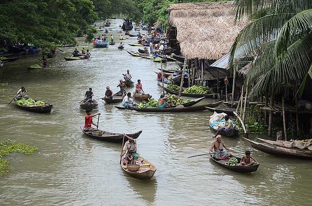 রোগে আক্রান্ত হওয়ার কারণে এবার পেয়ারার হাটগুলোতে গত বছরের তুলনায় বেচাকেনা কম হচ্ছে। কয়েকজন চাষিকে জিজ্ঞেস করা হলে তাঁরা জানান, রোগ হওয়ার কারণে এবার অনেক গাছে পেয়ারা কম ধরেছে। পরিপক্ব হতেও সময় লাগছে। ছবিটি আজ শুক্রবার সকালে ঝালকাঠির ভিম্রুলি থেকে তোলা। ছবি: সাইয়ান