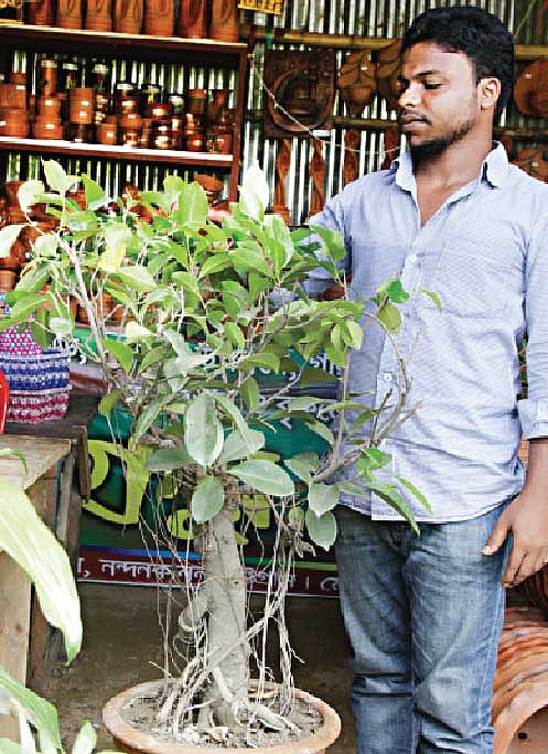 চায়না বটের এই বনসাইটির দাম হাঁকা হয়েছে ৪৫ হাজার টাকা l প্রথম আলো