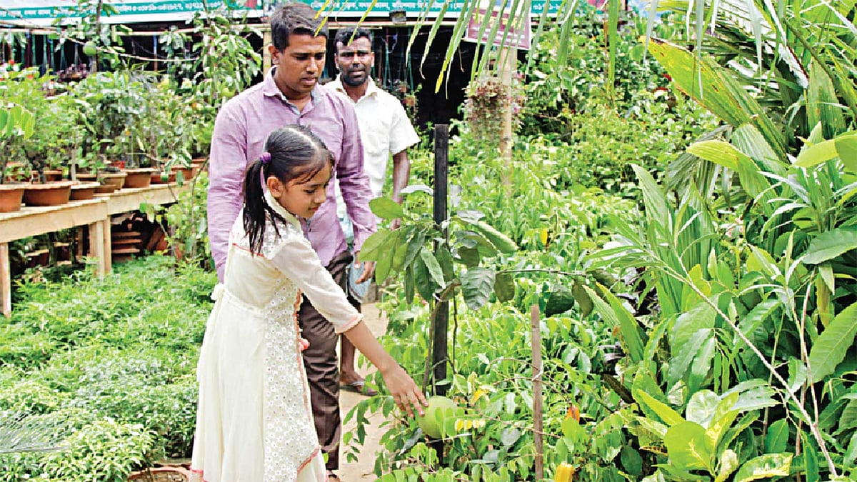 বৃক্ষমেলা ঘিরে সবুজ হয়ে উঠেছে লালদীঘির মাঠ। প্রতিদিন নানা বয়সী দর্শনার্থীরা ভিড় করছেন মেলায়। ছবিটি গত শুক্রবার সকালে  তোলা l জুয়েল শীল