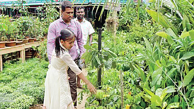 বৃক্ষমেলা ঘিরে সবুজ হয়ে উঠেছে লালদীঘির মাঠ। প্রতিদিন নানা বয়সী দর্শনার্থীরা ভিড় করছেন মেলায়। ছবিটি গত শুক্রবার সকালে  তোলা l জুয়েল শীল
