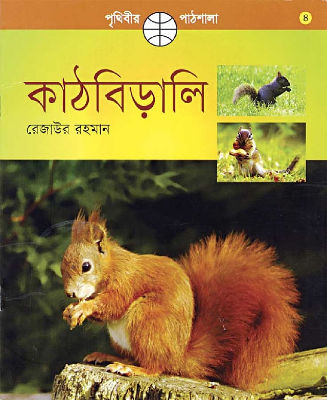 কাঠবিড়ালির কথা