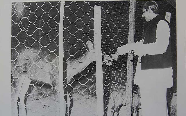 খাঁচায় প্রাণীদের কিছু খাওয়াচ্ছেন বঙ্গবন্ধু। ছবি: ‘জাতির জনক’ বই থেকে সংগৃহীত