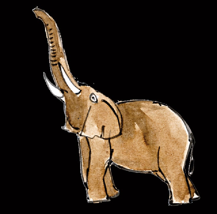 অলংকরণ: মাসুক হেলাল