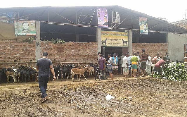 রাজধানীর সবচেয়ে বড় ছাগলের হাটটি যাত্রাবাড়ীতে। দেশের বিভিন্ন জেলা থেকে ছাগল আসে এখানে। অপেক্ষাকৃত কম দামে ছাগল পাওয়া যায় এই হাটে। ছবি: আসাদুজ্জামান