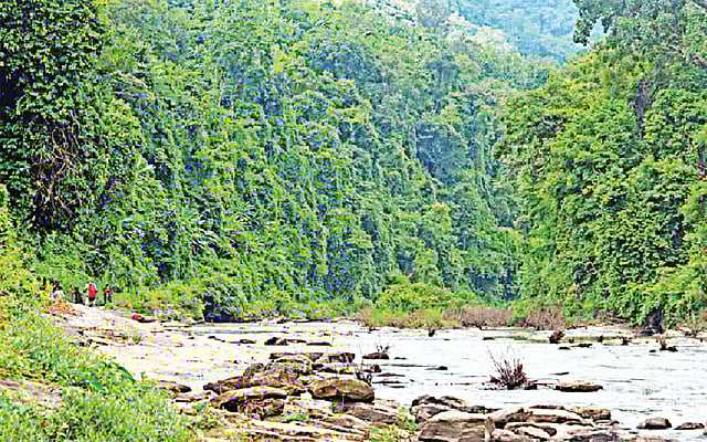 পাহাড়ঘেরা রে​ম​াক্রি খালের পাশ দিয়ে হেঁটে নাফাখুম ঝরনায় চলেছে অভিযাত্রী দল। বান্দরবানের থানচি উপজেলার রেমাক্রিতে অবস্থিত নাফাখুম ঝরনা পর্যটকদের অন্যতম আকর্ষণে পরিণত হয়েছে। দুর্গম এই ঝরনায় পেঁৗছাতে বান্দরবান থেকে লেগে যায় এক দিনেরও বেশি। যেতে হয় জিপে, হেঁটে ও নৌকায়। যাত্রাপথে পদে পদে রোমাঞ্চের হাতছানি।  ছবিটি ১৫ সেপ্টেম্বর তোলা l প্রথম আলো