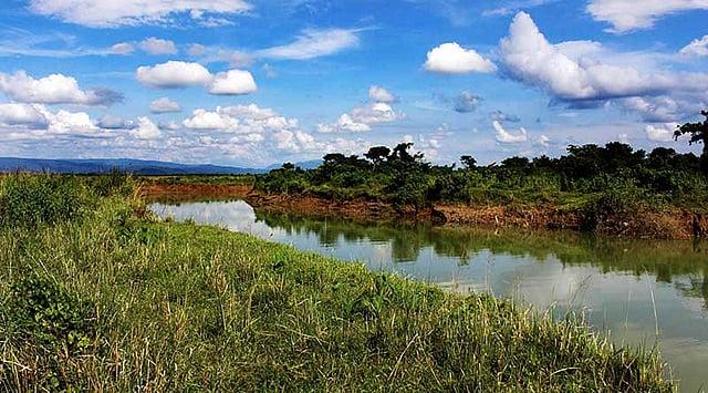 বনের মধ্যে দিয়ে বয়ে চলেছে সারি নদীর শাখা বেখরা খাল। ছবি: আনিস মাহমুদ