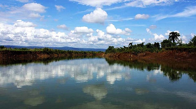 দুই দিকে মায়াবন, মধ্য দিয়ে বয়ে গেছে সারি নদীর শাখা বেখরা খাল। ছবি: আনিস মাহমুদ