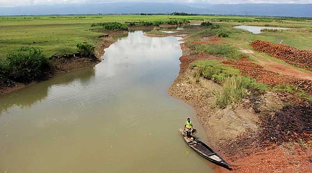 সিলেটের সারিঘাট-গোয়াইনঘাট সড়কের পাশেই বেখরা খাল। এখান থেকে নৌকায় করে বাংলার রূপ দেখতে দেখতে দেড় কিলোমিটার পথ বেয়ে যেতে হবে মায়াবনে। ছবি: আনিস মাহমুদ