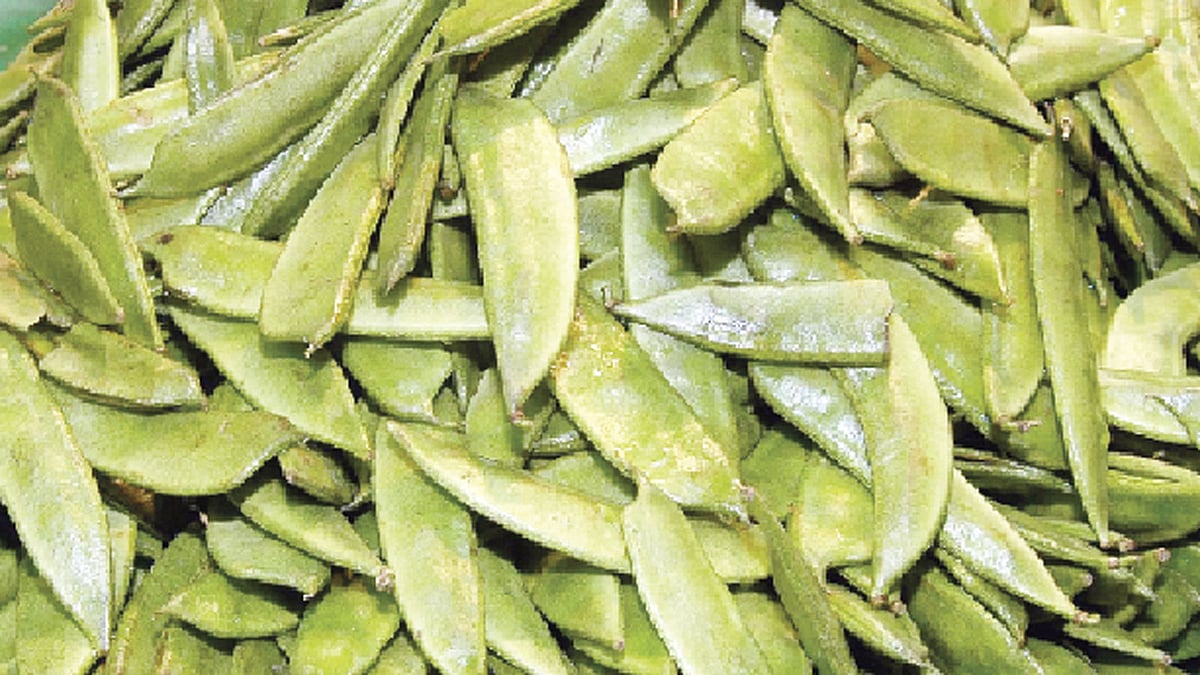 শিম