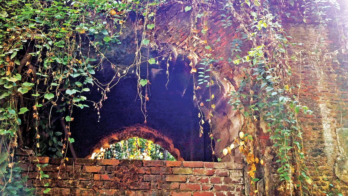 কেরানীগঞ্জের ঐতিহাসিক জিঞ্জিরা প্রাসাদের ভগ্নপ্রায় একাংশ। ৩০ অক্টোবর ছবিটি তুলেছেন জাহিদুল করিম