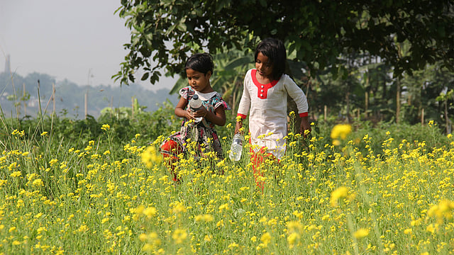 সরিষা খেতের আইল ধরে পানি নিয়ে হেঁটে চলেছে দুই শিশু। ছবিটি ময়মনসিংহের ব্রহ্মপুত্র নদের চরাঞ্চল থেকে তোলা। ছবি: জগলুল পাশা