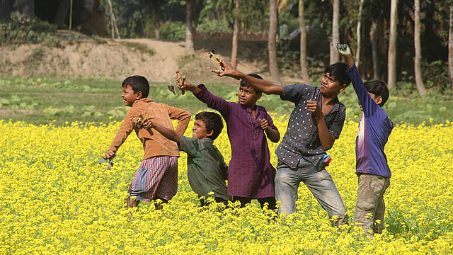 সরিষা খেতের আইলে দাঁড়িয়ে একদল শিশু-কিশোর গুলতি দিয়ে পাখি শিকারের দুরন্তপনায় মেতেছে। ছবিটি ময়মনসিংহের ব্রহ্মপুত্র নদের চরাঞ্চল থেকে তোলা। ছবি: জগলুল পাশা