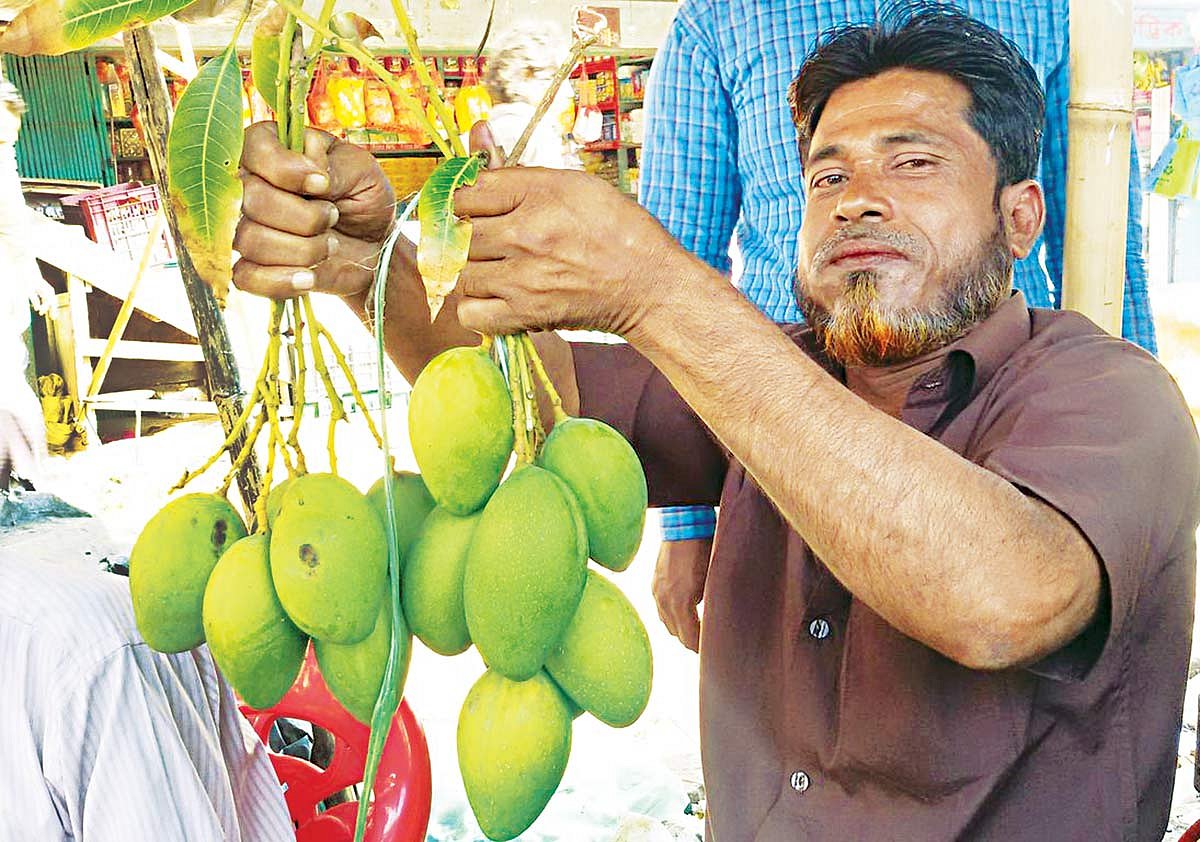 মৌসুমের অনেক আগে টেকনাফের বাজারে উঠেছে কাঁচা আম। দাম বেশি হলেও কিনছেন ক্রেতারা। শহরের বাসস্ট্যান্ডে ফলের দোকানে কাঁচা আম দেখাচ্ছেন ফল বিক্রেতা ফরিদুল আলম l প্রথম আলো