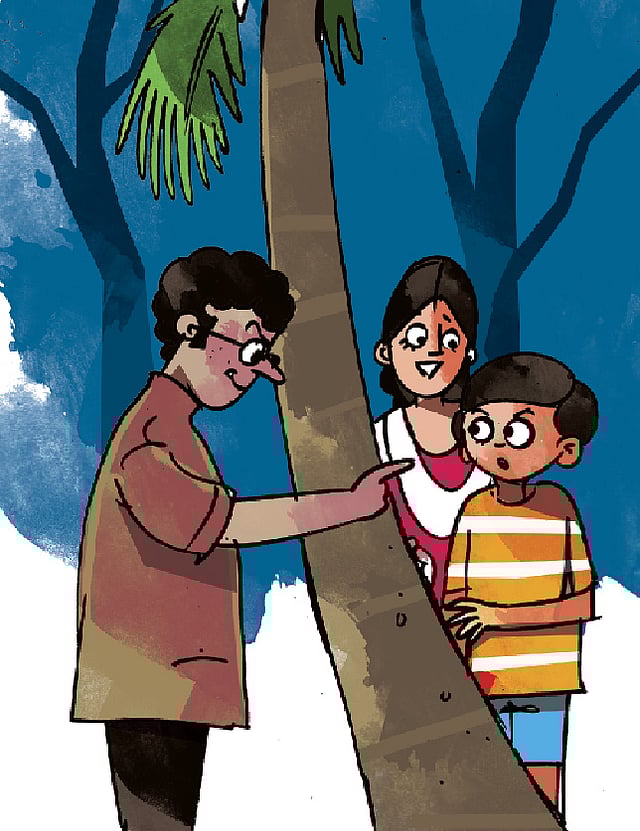 অলংকরণ: তুলি