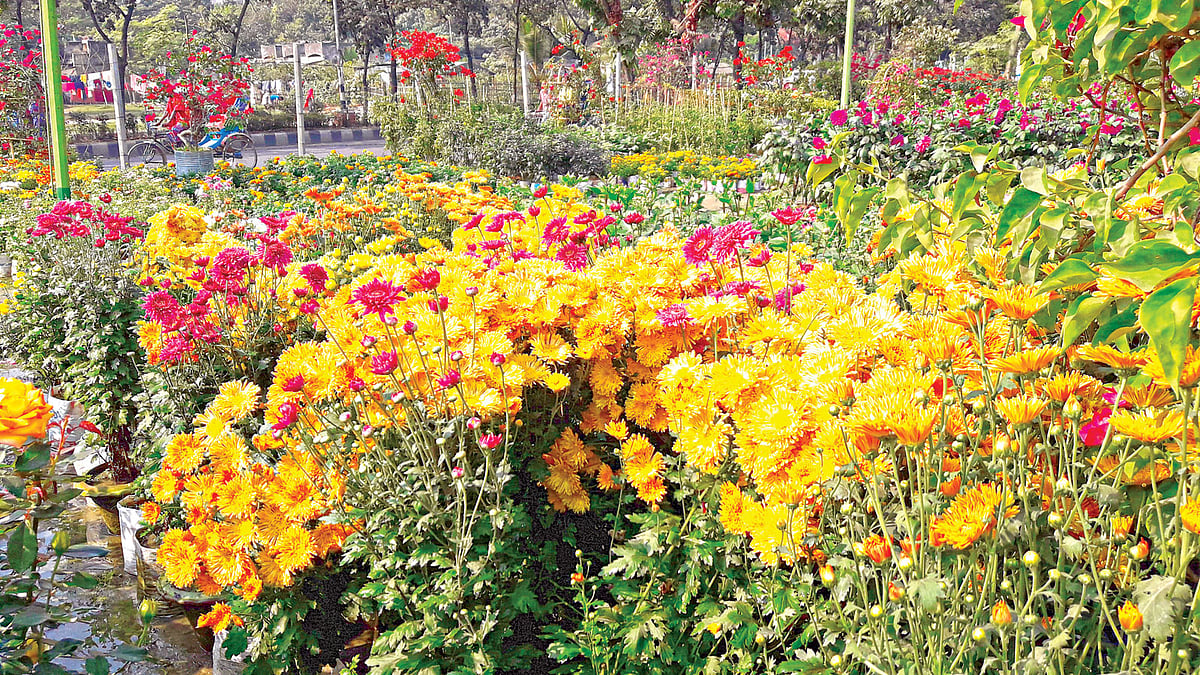 ফুলে ফুলে ভরা রাজধানীর একটি নার্সারি l প্রথম আলো