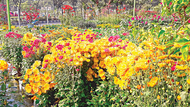 ফুলে ফুলে ভরা রাজধানীর একটি নার্সারি l প্রথম আলো