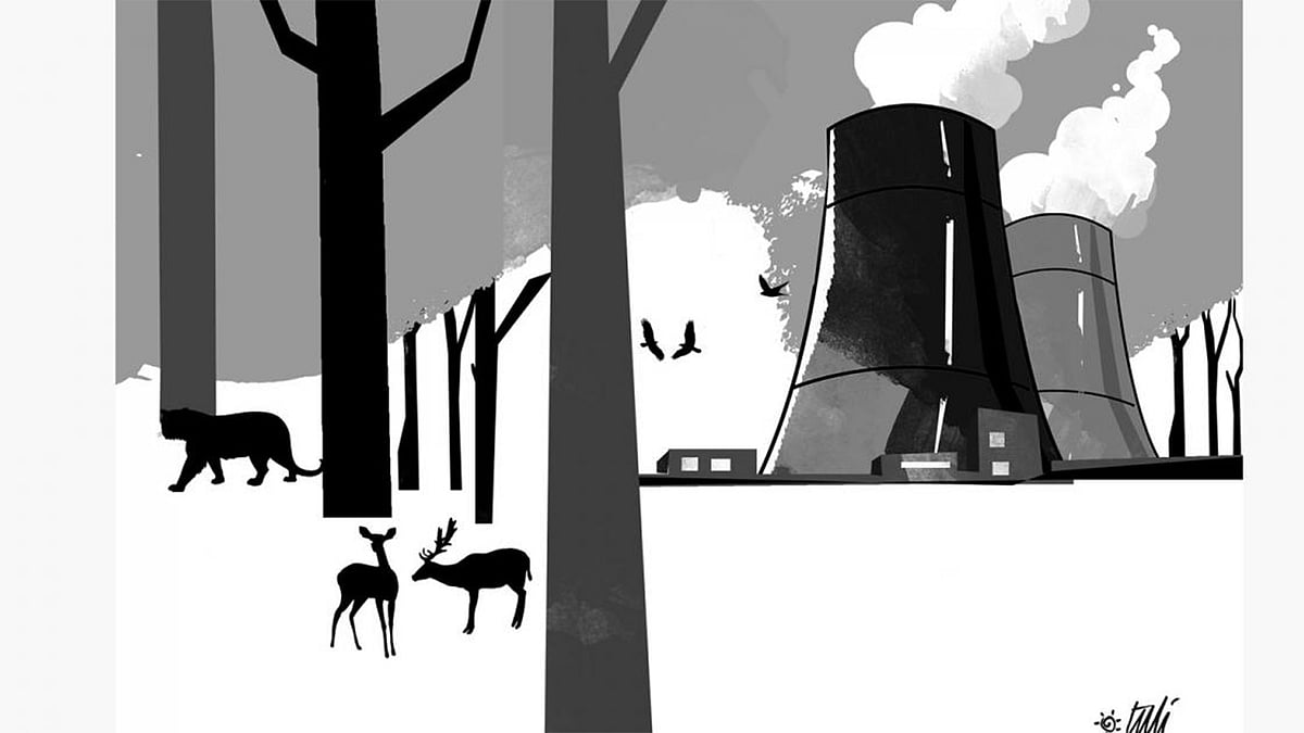 প্রতীকী ছবি