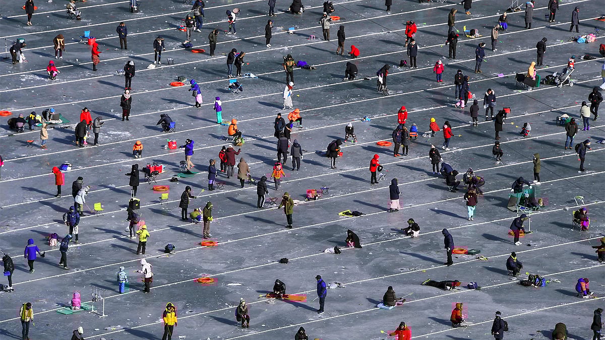 প্রচণ্ড ঠান্ডায় জমে গেছে নদীর পানি। তবে নদীর মাছ তো আর বরফে জমে যায়নি। তাই এখন সেই মাছ ধরার উৎ​সবে মেতেছে লাখো মানুষ। এই উৎ​সব স্থানীয়ভাবে আইস ফিশিং ফেস্টিভ্যাল নামে পরিচিত। মাছ ধরার জন্য আয়োজকেরা ১৪ হাজার গর্ত খুঁড়েছেন। ছবিটি দক্ষিণ কোরিয়ার রাজধানী সিউলের ১২০ কিলোমিটার দক্ষিণপশ্চিমে হেচসান নদী থেকে আজ শনিবার তোলা। ছবি: রয়টার্স