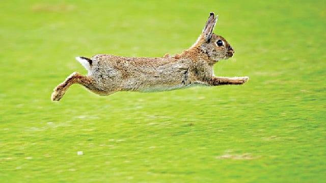 মাসের শুরুতে ইন্টারনেটের গতি