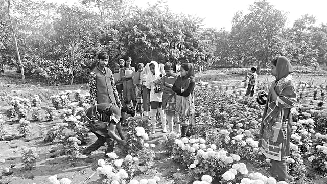 নীলফামারীর ডোমারের নিজ ভোগডাবুরী কাঁঠালতলী গ্রামের পঞ্চনীল নার্সারিতে ফুলের চারা কিনতে আসা শিক্ষার্থীদের কয়েকজন। ছবিটি গতকাল বিকেলে তোলা l প্রথম আলো