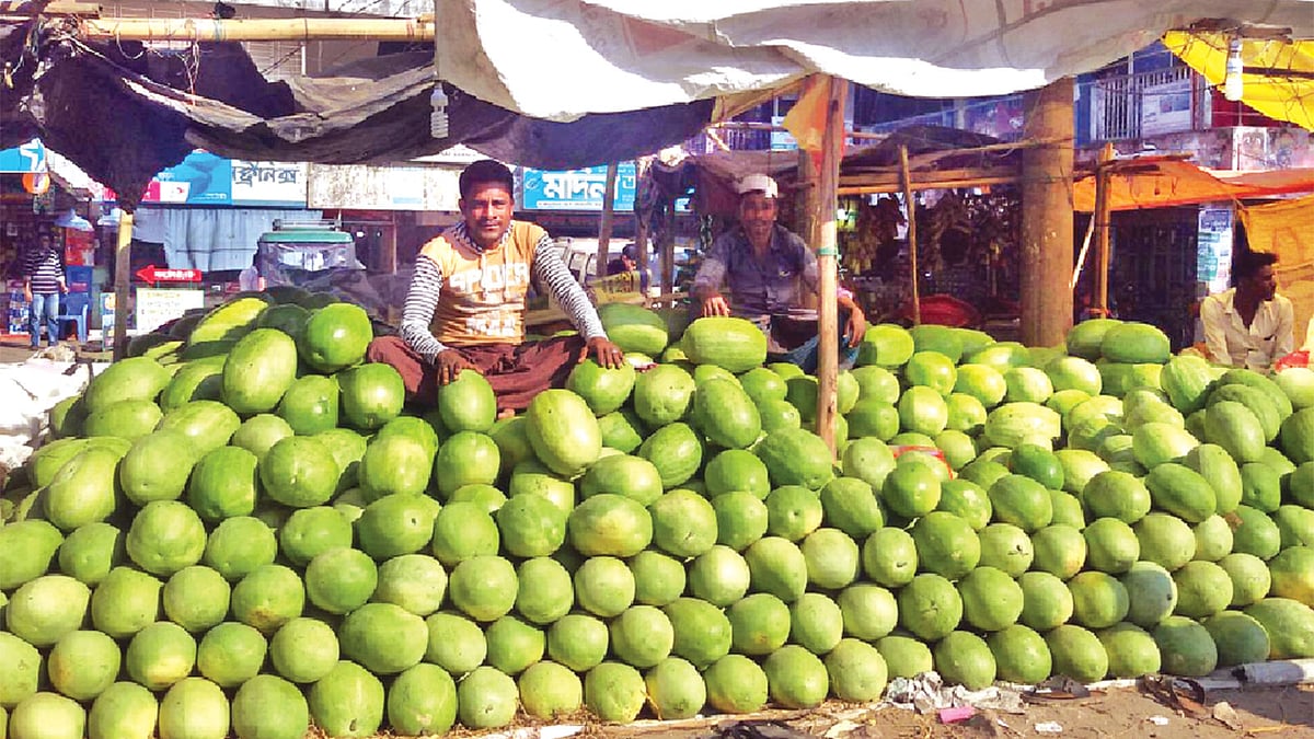 টেকনাফ পৌরসভার বাসস্টেশন বাজারে বিক্রির জন্য তরমুজ নিয়ে বসেছেন এক বিক্রেতা। ছবিটি ​১০​ ফেব্রুয়ারি তোলা l প্রথম আলো
