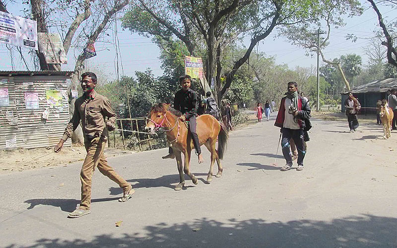 গোপীনাথপুর মেলায় ঘোড়া কিনে হাসিমুখে বাড়ি ফিরছেন মতিউর রহমান। ছবিটি আজ বৃহস্পতিবার সকালে আক্কেলপুর পৌরশহরের নবাবগঞ্জ সেতু এলাকা থেকে তোলা। ছবি: প্রথম আলো