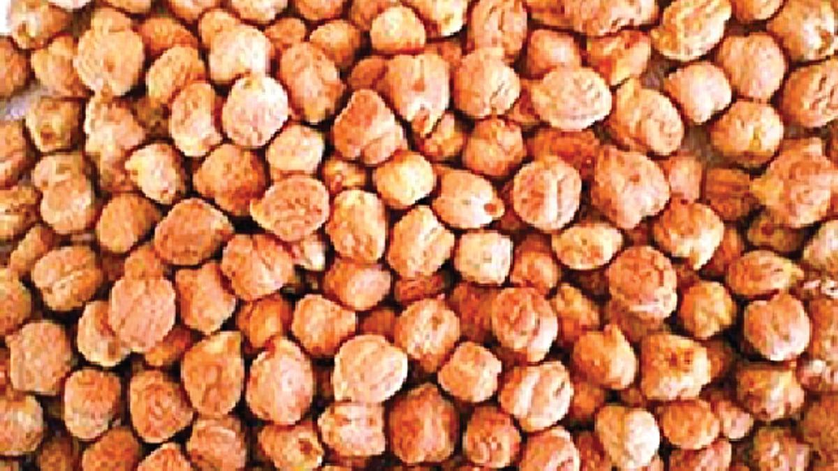 প্রতীকী ছবি