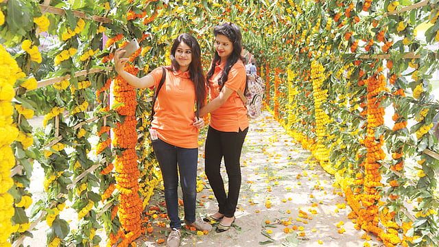 বাংলা একাডেমির মাঠে গতকাল থেকে শুরু হয়েছে তিন দিনের ফুল উৎসব। ফুলে ফুলে সাজানো হয়েছে প্রাঙ্গণ। ফুলের টানেলের সামনে সেলফি তুলতে মগ্ন পুষ্পানুরাগীরা l ছবি: প্রথম আলো