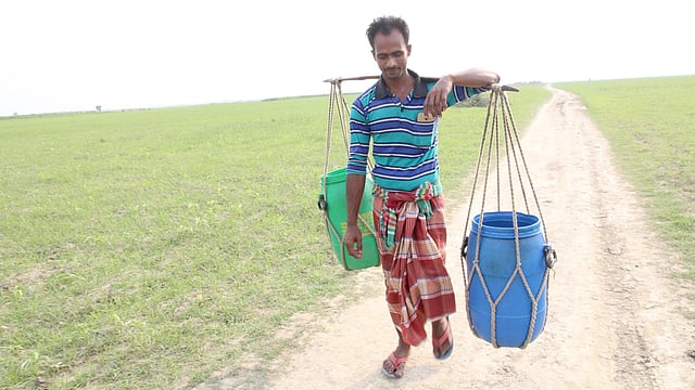 চরাঞ্চল থেকে দুধ সংগ্রহ করে তা শহরে বিক্রির পর বাড়ি ফিরছেন এক ব্যবসায়ী। ছবিটি গতকাল বুধবার ফরিদপুর সদর উপজেলার মুনসুরাবাদ এলাকা থেকে তোলা। ছবি: আলীমুজ্জামান