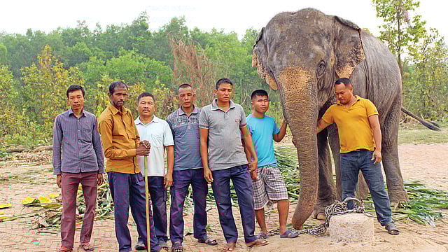 সাফারি পার্কের হাতিদের আপনজন সাত মাহুত