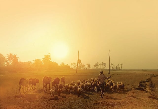 সন্ধ্যার আগে আগে