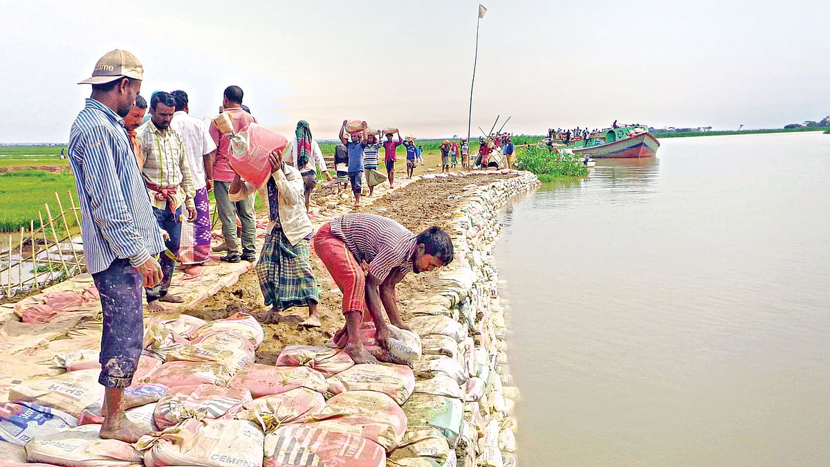 সুনামগঞ্জের তাহিরপুর উপজেলার শনির হাওর রক্ষায় ২২ দিন ধরে স্বেচ্ছাশ্রমে বাঁধের কাজ করছেন এলাকার মানুষ। ছবিটি গত মঙ্গলবার দুপুরে তোলা l আনিস মাহমুদ