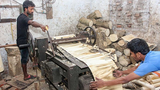 নির্দিষ্ট আকারে কাটা কাঠ যন্ত্রে ঢুকিয়ে পাতলা পাত বের করা হয়।