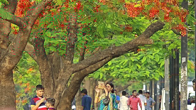 ফুল দেখার পাশাপাশি ছবি তোলায় ব্যস্ত সবাই। ছবি: সাবিনা ইয়াসমিন