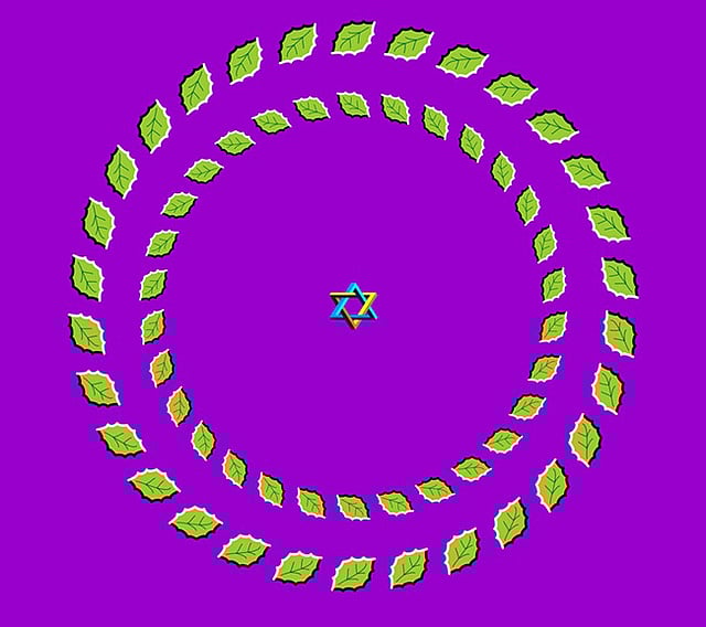 পাতাগুলো কোন পথে ঘুরছে?