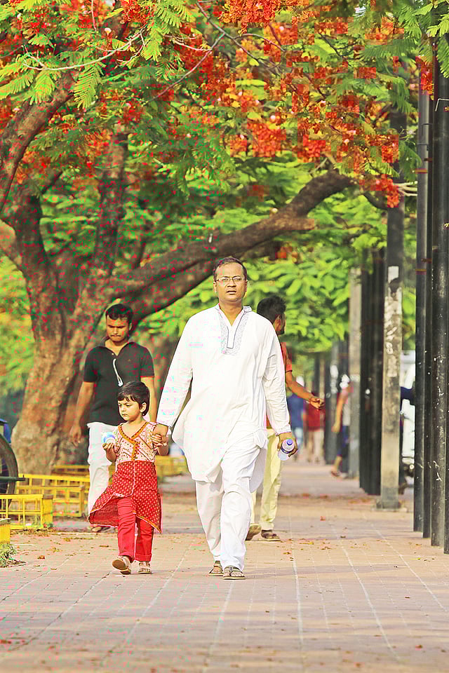 বাবার হাত ধরে কৃষ্ণচূড়া ফুল দেখতে এসেছে শিশুটি। ছবি: সাবিনা ইয়াসমিন