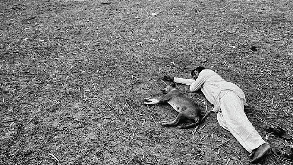 নৃ ছবির দৃশ্য