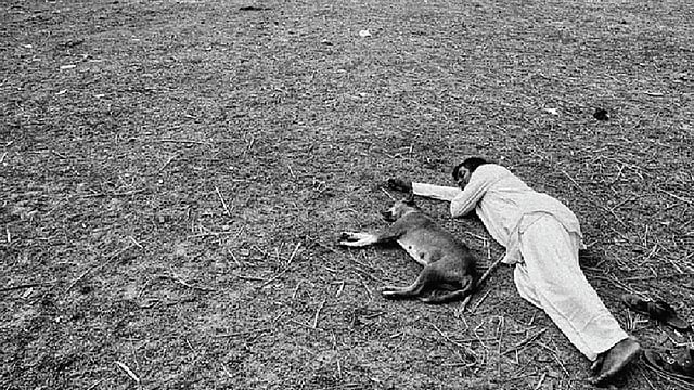 নৃ ছবির দৃশ্য