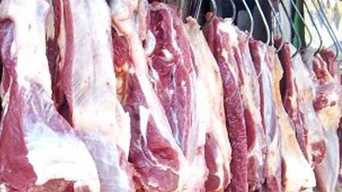 গরুর মাংস