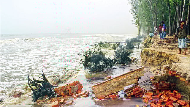 ঘূর্ণিঝড় ‘মোরা’র প্রভাবে উত্তাল সমুদ্রের জোয়ারের ধাক্কায় ভেঙে পড়ছে কক্সবাজার সমুদ্রসৈকতে সৃজিত ঝাউবাগান। গতকাল দুপুরে তোলা ছবি l প্রথম আলো